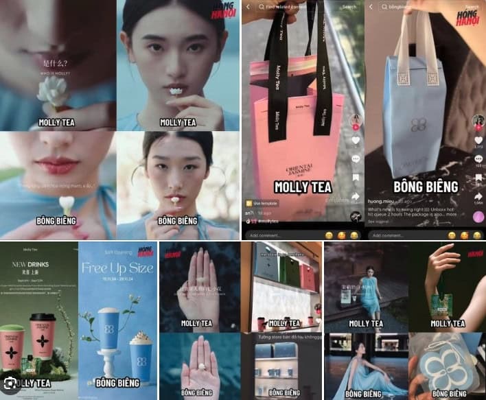 Asian bubble tea brands international expansion also results in intense rivalry. Here you see a comparison of advertising made by Asian tea franchise brands Molly Tea and Bong Bieng